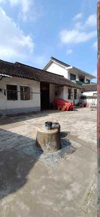 歇馬橋3