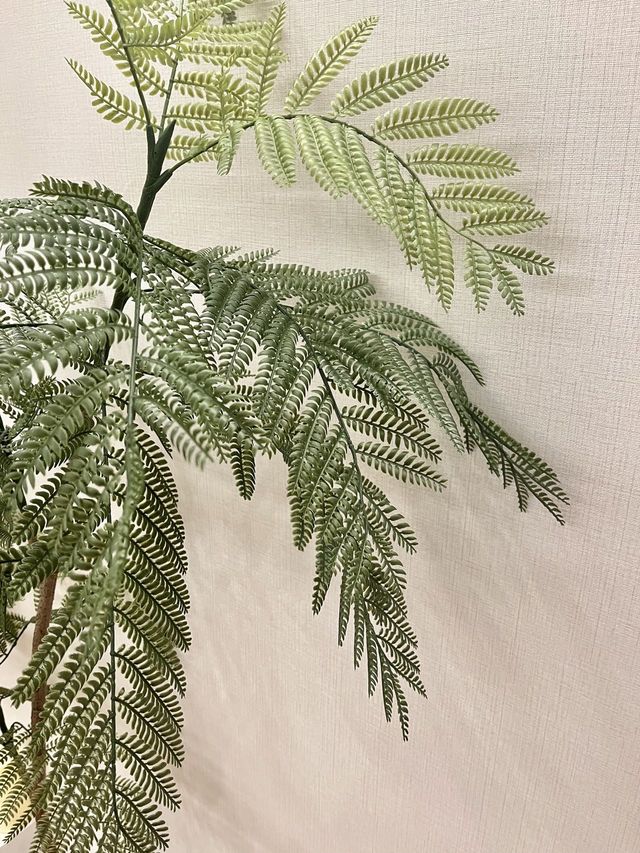 珠海澳門兩天一夜｜不踩雷酒店分享