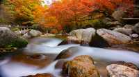 秋季好去處-夢幻光霧山。