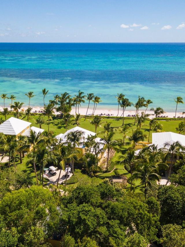 🌴✈️ Punta Cana's Paradise: Tortuga Bay Hotel Highlights 🏖️⛳
