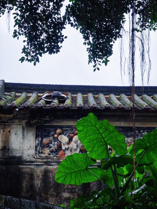 中山，你不宣傳這裡是有什麼心事嗎？