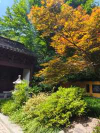 杭州｜慧因高麗寺，安靜自在心中