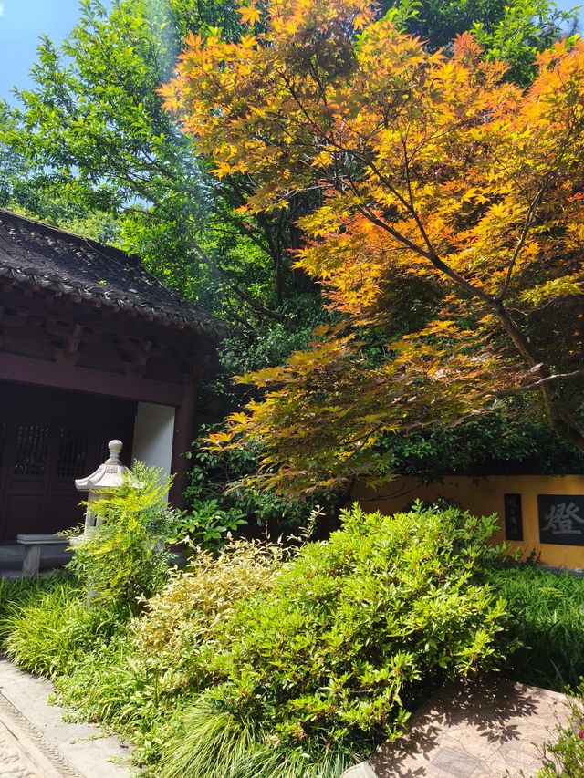 杭州｜慧因高麗寺，安靜自在心中