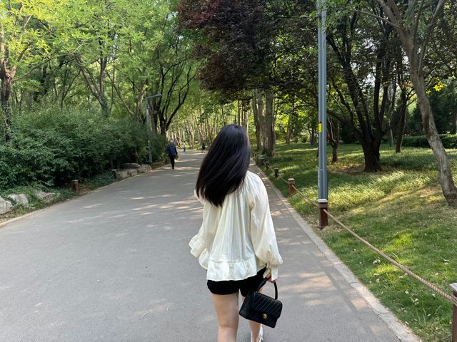 濟南西值得打卡的天然氧吧森林
