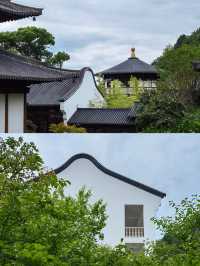 天台山寶華禪寺｜度一切苦厄