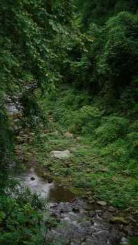 紅峽谷棧道觀通橋