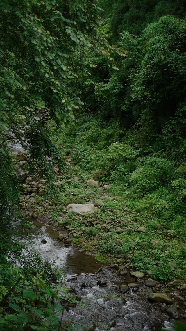紅峽谷棧道觀通橋