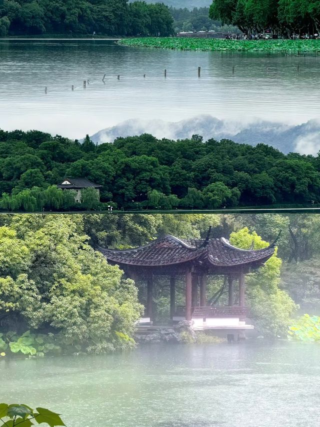 雨後的西湖把蒼翠欲滴具象化了