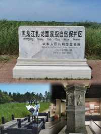 北緯47°的夏日奇遇記：齊齊哈爾探索之旅
