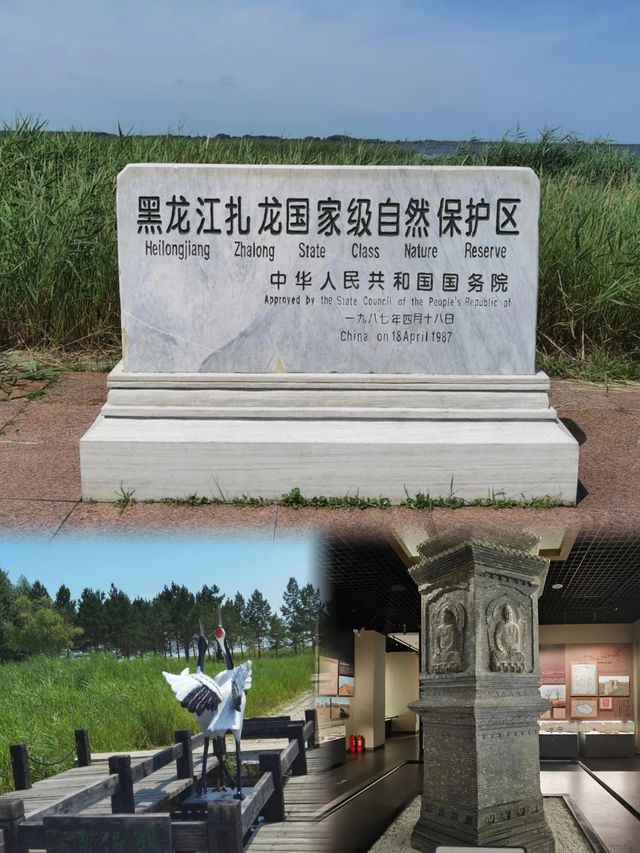 北緯47°的夏日奇遇記：齊齊哈爾探索之旅