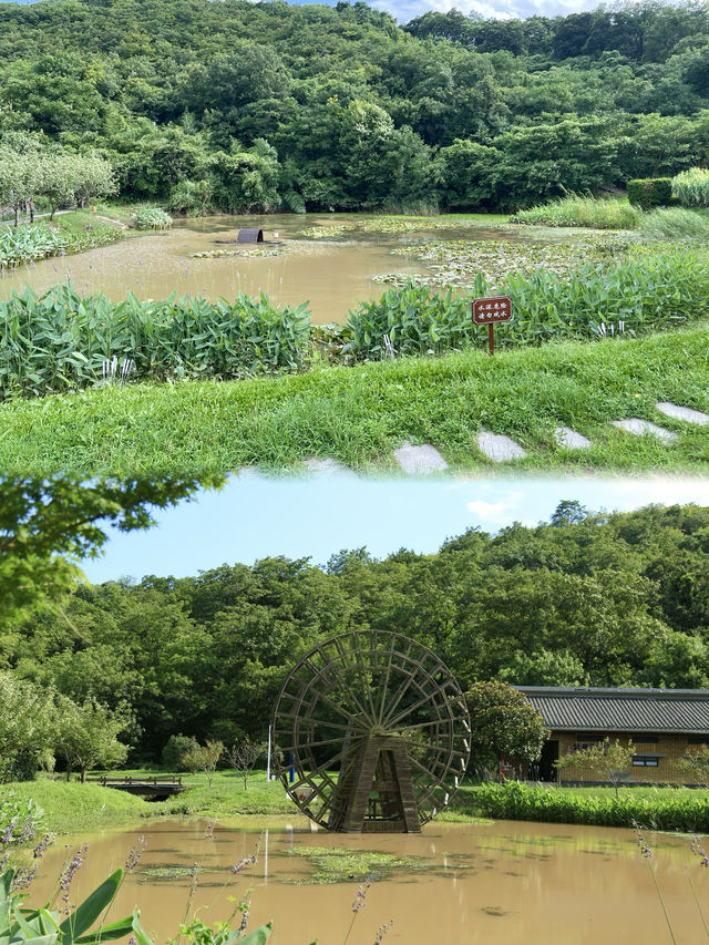 聽說這裡號稱南京小新疆