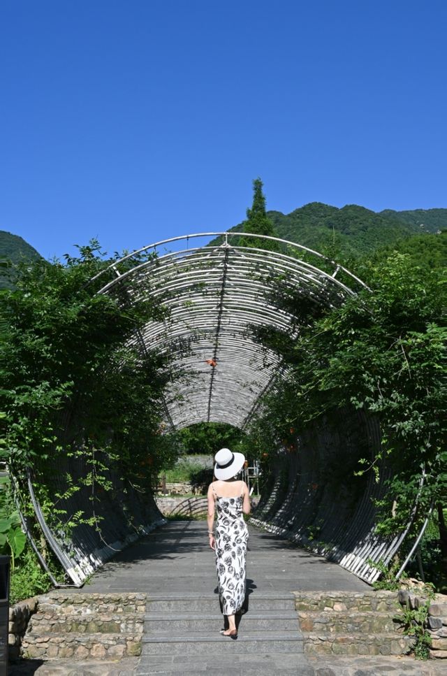 安吉必住民宿｜遇見竹海中的童話世界