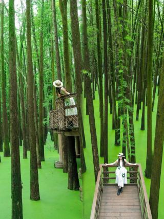 Hangzhou's Hidden Gem｜A Real-Life Emerald City!!!! Absolutely Stunning