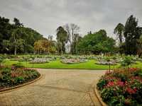 Beautiful City Botanic Gardens Brisbane 🌺🌳