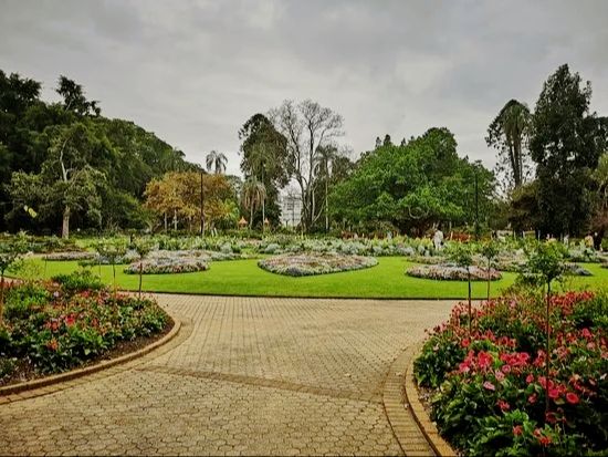 Beautiful City Botanic Gardens Brisbane 🌺🌳