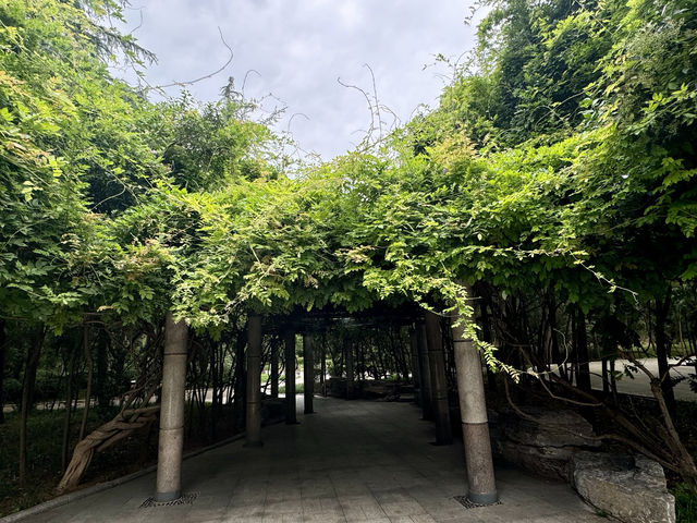 泉城公園（東南門）