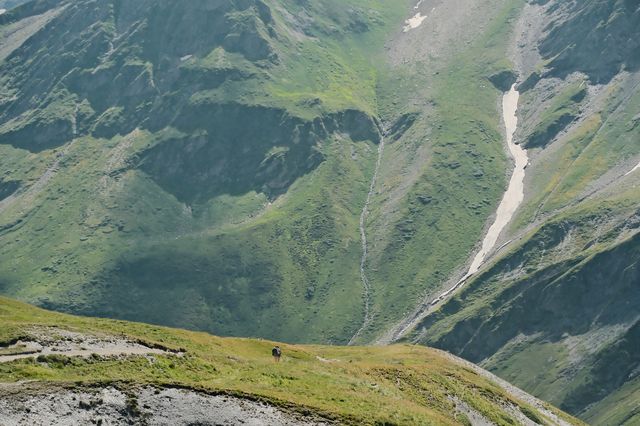 阿爾卑斯山，沒有平替
