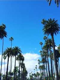 🌟 West Hollywood Wonders: Chic Hotel Gems 🏨✨