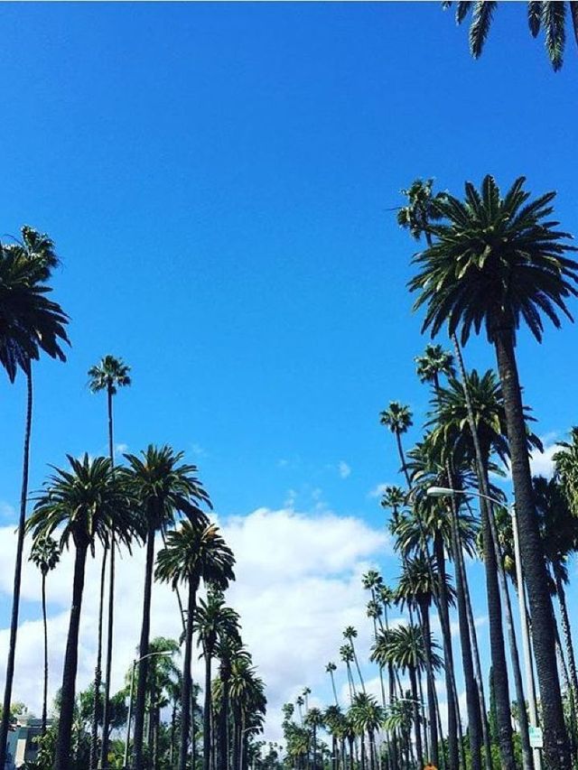 🌟 West Hollywood Wonders: Chic Hotel Gems 🏨✨