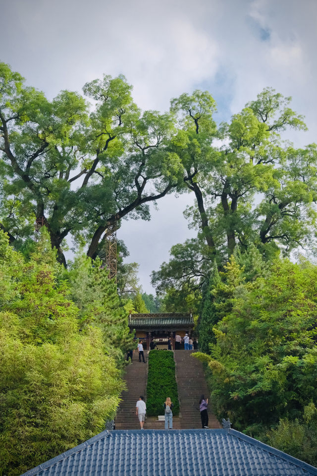 如果說古樹是南郭寺的根，那杜詩就是南郭寺的魂。