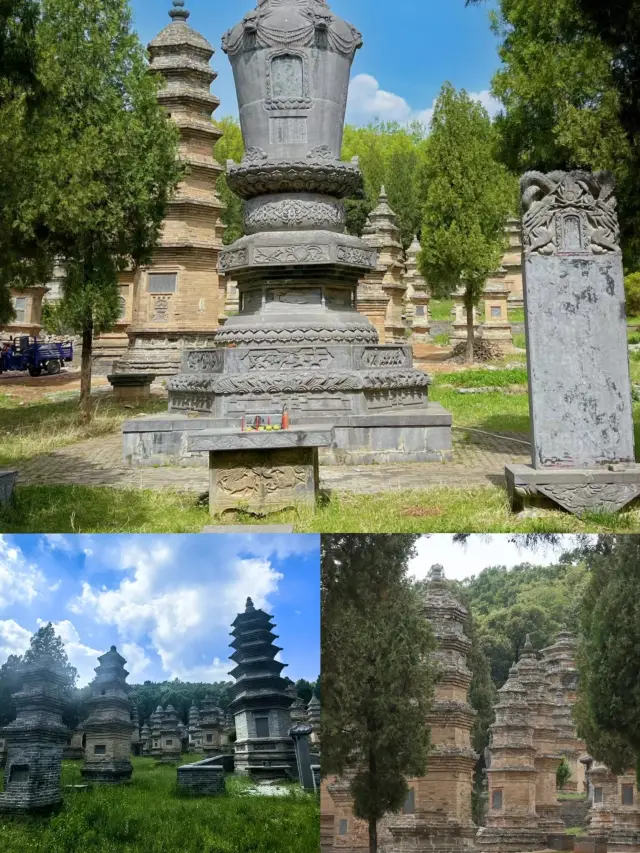 성산 소림사 일일 여행 가이드.