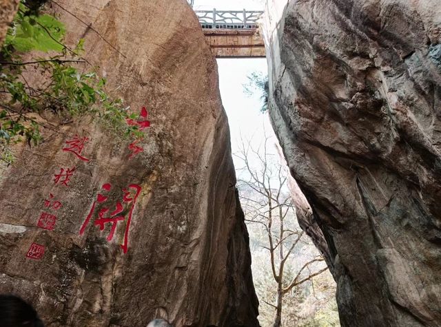 翠華山。 翠華山。