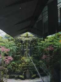 東京｜悠閒漫步·代代木公園到根津美術館 🚶‍♂️🌳🎨
