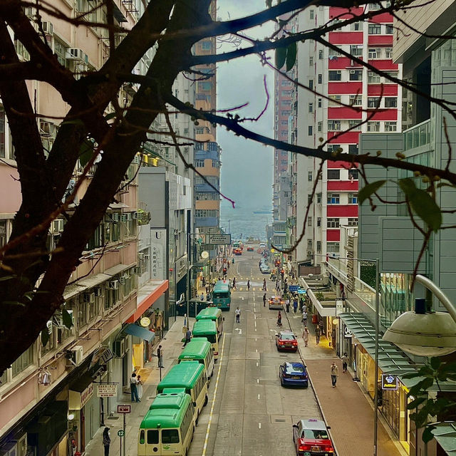 🌊홍콩 감성 바다뷰 케네티 타운 kennedy town 