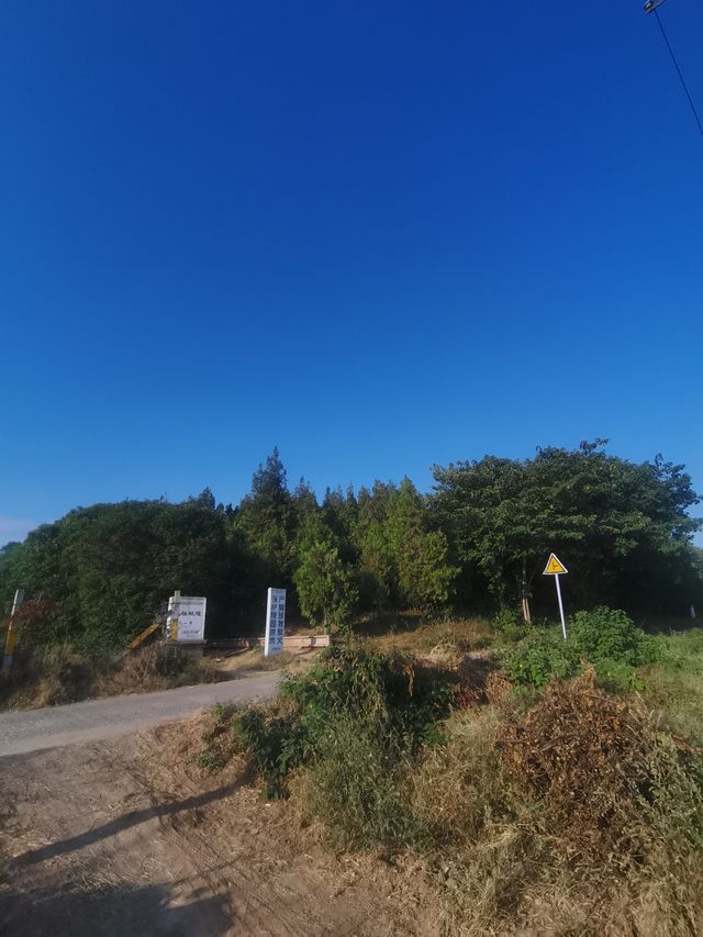 三原行｜陝西關中十八唐帝陵首座之獻陵。