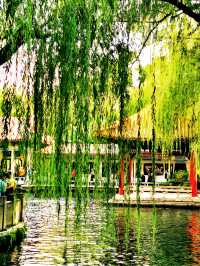 趵突勝境,堪比仙境!。