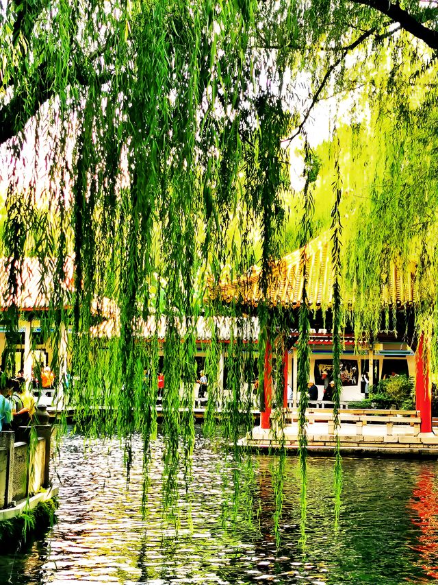 趵突勝境,堪比仙境!。 趵突勝境,堪比仙境!。