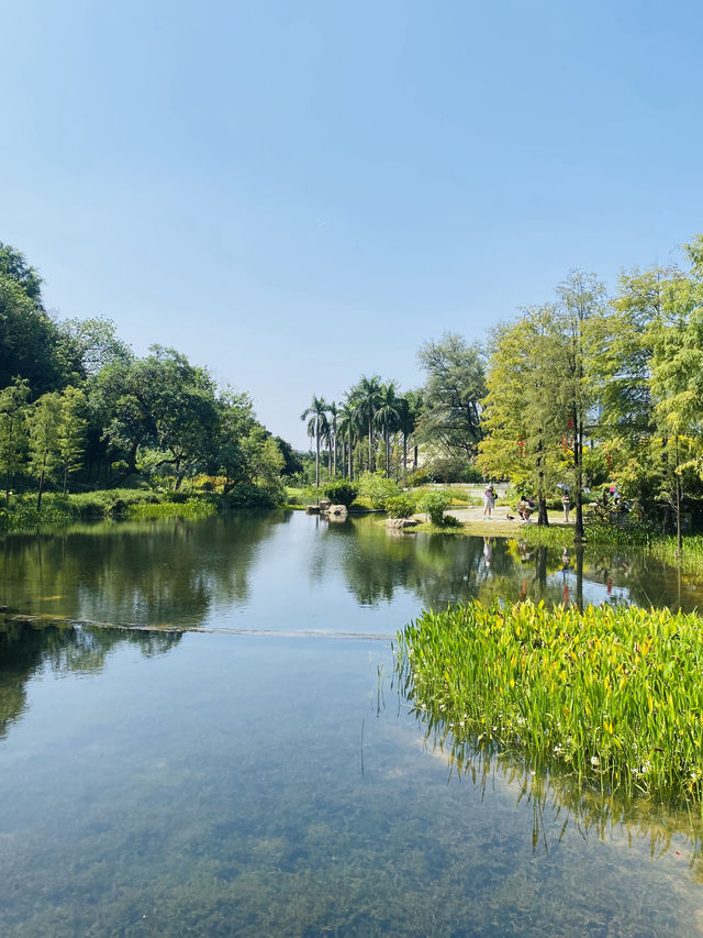 城市綠色瑰寶·廣州雲溪植物園。