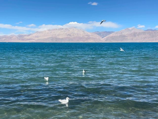 西藏班公湖｜一半鹹水 一半淡水湖。