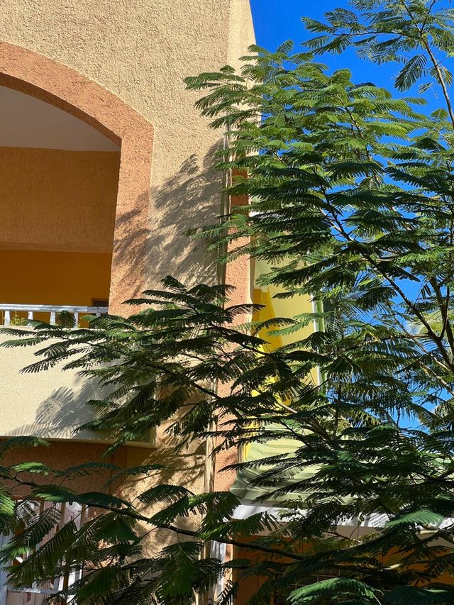 科科島度假模式。