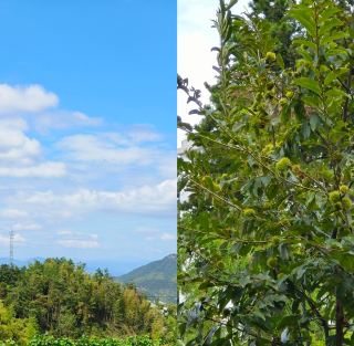 Huanggang's Hidden Gem: Mount Sanjiao. 