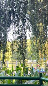 南寧獅山公園｜城市中的綠洲。