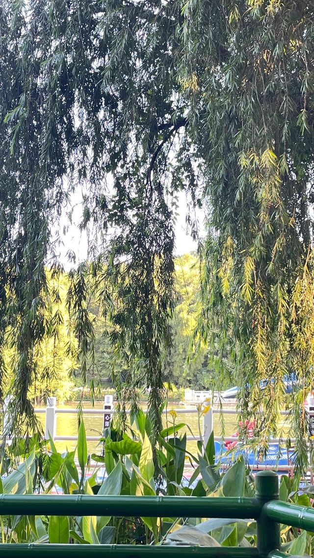 南寧獅山公園｜城市中的綠洲。