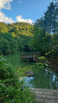 喀斯特世界自然遺產地——施秉雲台山。