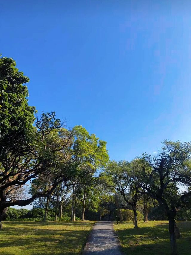 廣東的「小洱海」——東莞同沙生態園遊玩攻略。