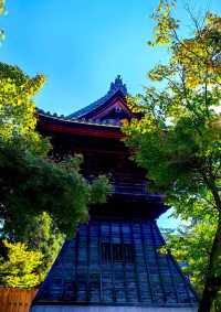 岐阜虎溪山永保寺。