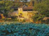 Chengkan: A Historical Village in Anhui Province