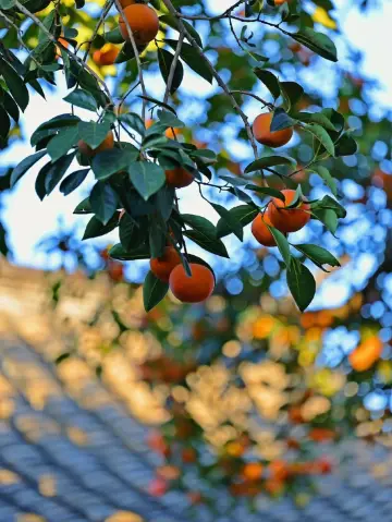 北京市東城區老舍紀念館參觀攻略。