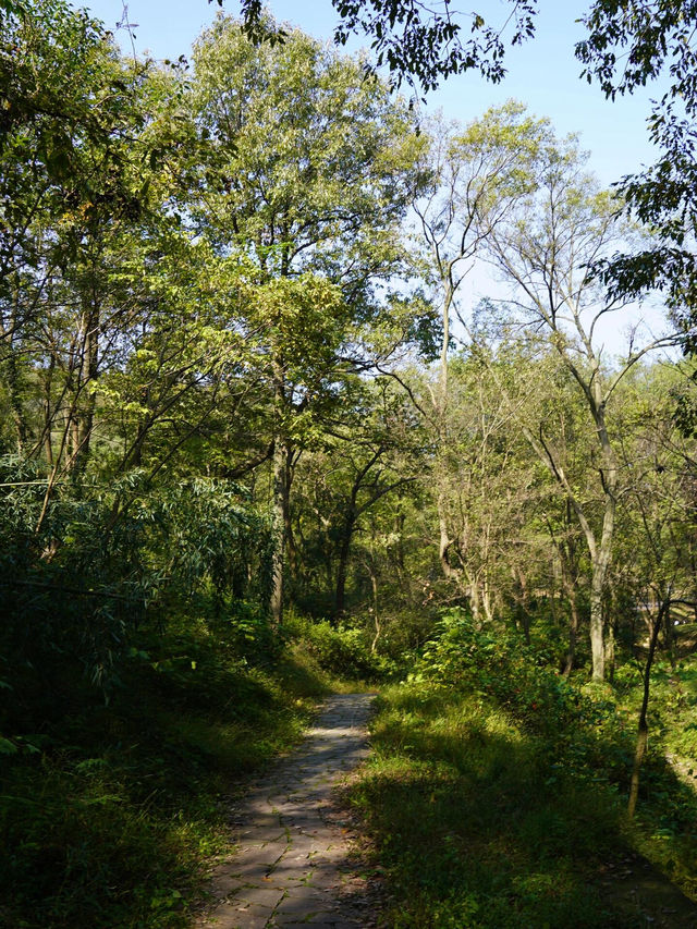 南京老山森林公園 | 親子秋遊寶藏地 。