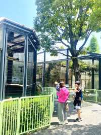 日本°東京ㅣ親子免費近郊好去處ㅣ江戶川區自然動物園。