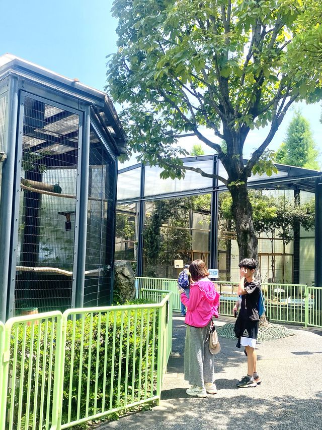 日本°東京ㅣ親子免費近郊好去處ㅣ江戶川區自然動物園。