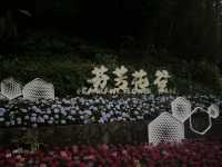 廣州白雲｜雲蘿植物園