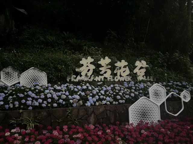 廣州白雲｜雲蘿植物園