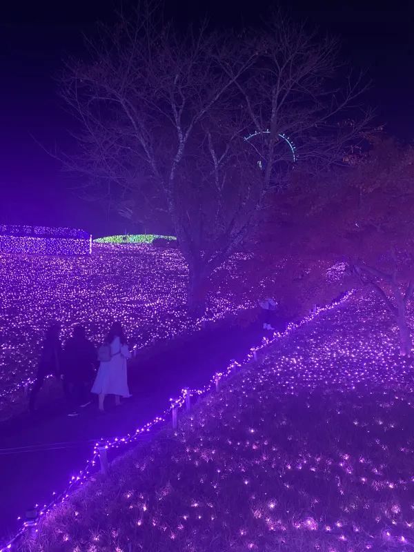 Visited the Sagamiko Light Show!!