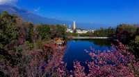 三塔倒影公園穿越千年的人間淨土