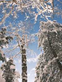 長春-長白山帶小孩滑雪超全攻略速來 get